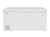 ADU-239964-4.jpg