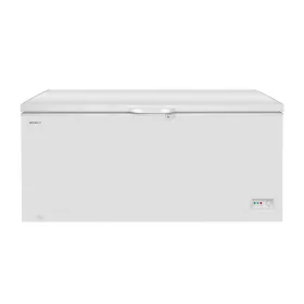 ADU-239971.jpg