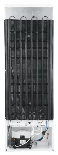 ADU-263907-5.jpg