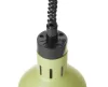 ADU-273791-3.jpg