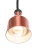 ADU-273890-4.jpg