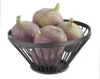 ADU-427071-4.jpg