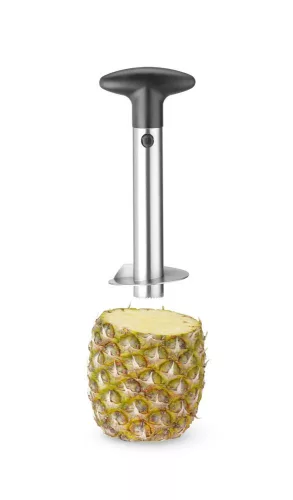 ADU-856437-1.jpg