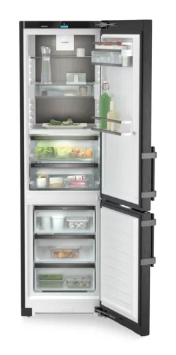 ADU-CBNbsa10_575i-1-2.jpg