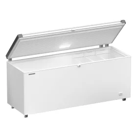 ADU-EFL_6055-21.jpg
