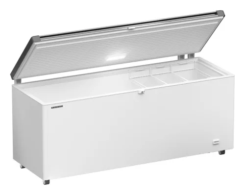ADU-EFL_6056-21-2.jpg