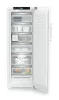 ADU-FNb_505i-22-3.jpg