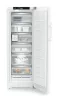ADU-FNc_507i-22-3.jpg