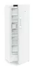 ADU-FNc_507i-22-5.jpg