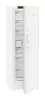 ADU-FNc_527i-22-5.jpg