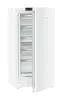 ADU-FNc_6625-22-5.jpg