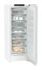 ADU-FNc_7227-22-2.jpg
