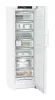 ADU-FNd_525i-22-2.jpg