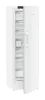 ADU-FNd_525i-22-5.jpg