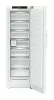 ADU-FNd_525i-22-6.jpg