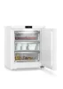 ADU-Fe_1003-20-2.jpg