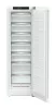 ADU-GN_52Vd2i-6.jpg
