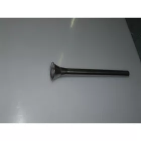   26 cm hosszú, 2 cm átmérőjű, Rozsdamentes Hurkatöltő cső