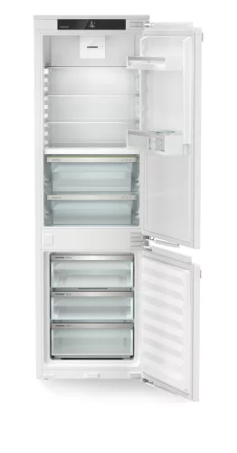 ADU-ICBNdi_5123-22-2.jpg