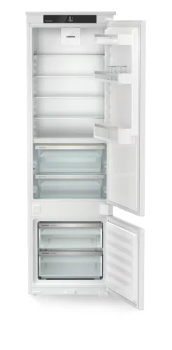 ADU-ICBSd_5122-22-2.jpg