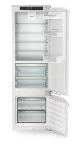 ADU-ICBbi_5122-22-2.jpg