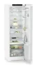 ADU-RBc_5220-22-2.jpg
