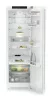ADU-RBc_5220-22-3.jpg