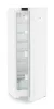 ADU-Rd_5000-22-4.jpg