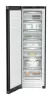 ADU-SFNbdd_5227-22-3.jpg